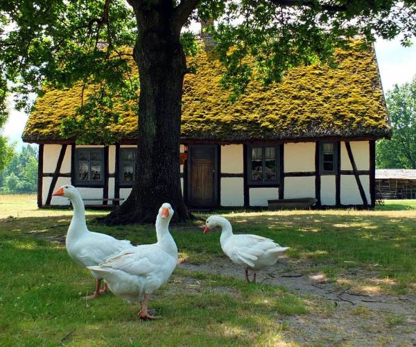 Muzeum Wsi Słowińskiej
