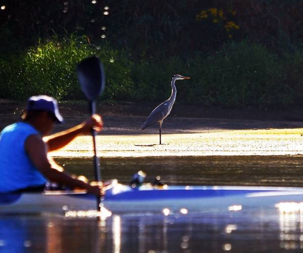 Spływy kajakowe Krutyń