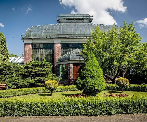 Palmiarnia Wałbrzych