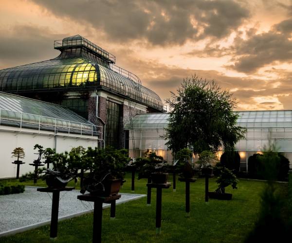 Palmiarnia Wałbrzych