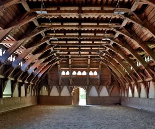 Stado Ogierów Książ