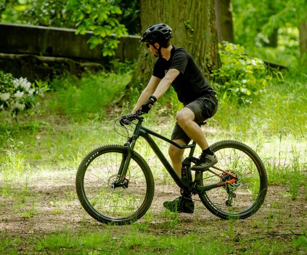 Szlaki piesze i rowerowe