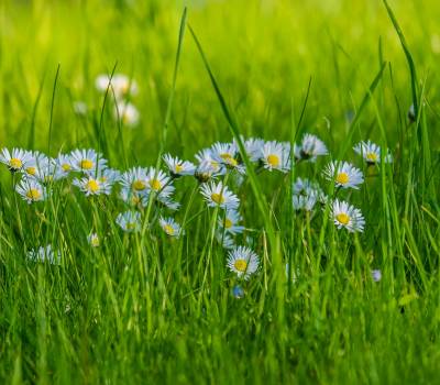 MAJÓWKA NAD MORZEM 30.04 – 03.05.2026