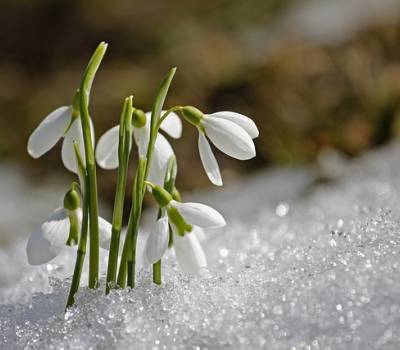 WIOSENNY START  NAD MORZEM