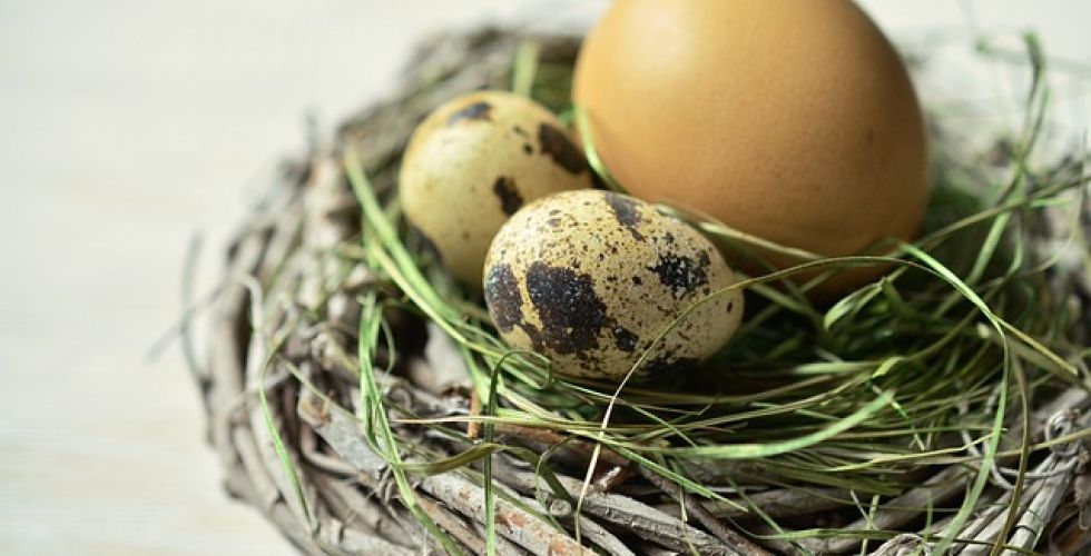 Wielkanoc nad morzem - dlaczego warto spędzić święta w Międzyzdrojach?