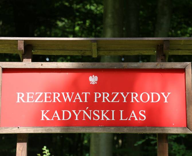 Przyroda