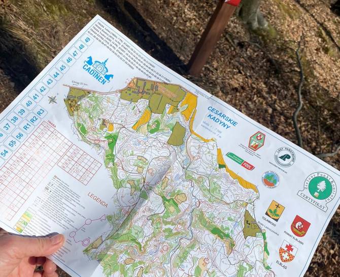 Zielony Punkt Kontrolny