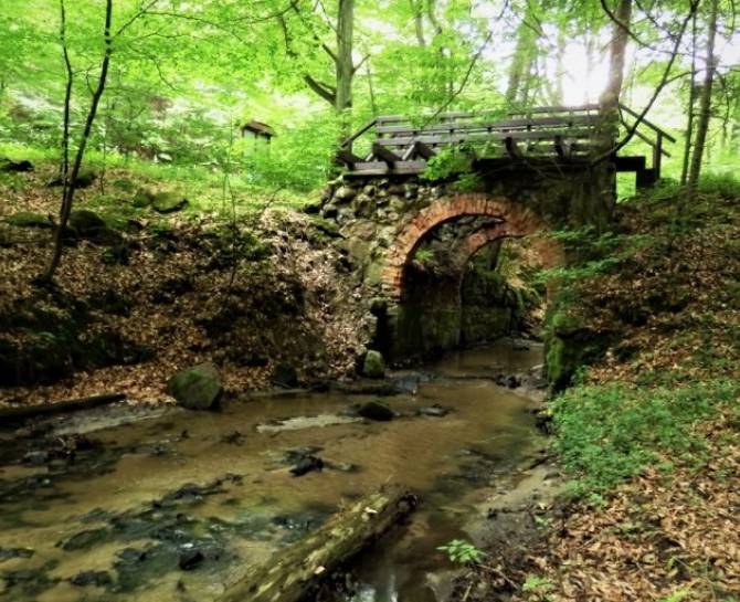 Zabytki, pomniki przyrody