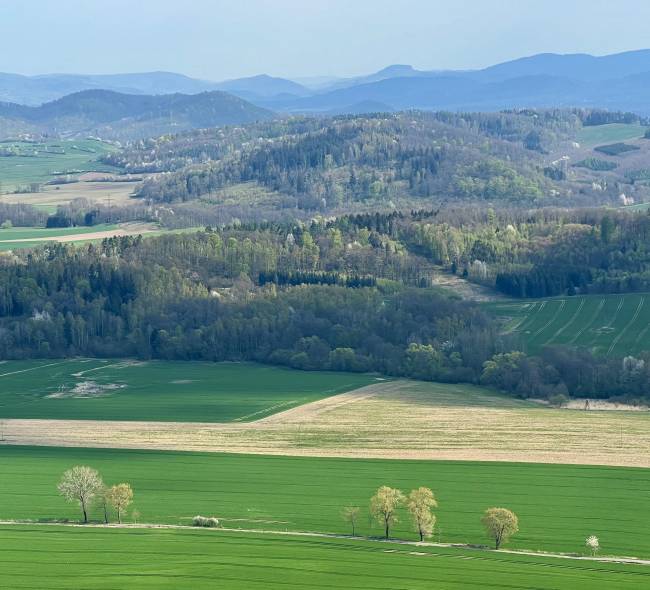 ŚWIERADÓW SKY WALK