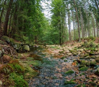 Wiosna w górach bez tłumów - marzec i kwiecień w Beskidzie Sądeckim