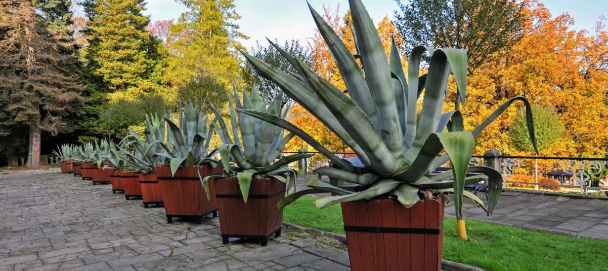 Pobyty lecznicze i wypoczynkowe