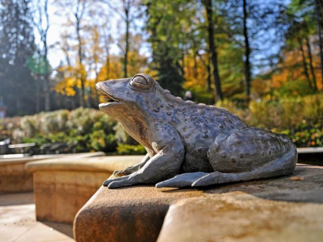 Obrazek Regulamin porządkowy dla Gości komercyjnych