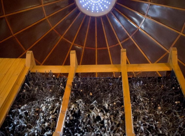 Радоново-соляной эманаторий