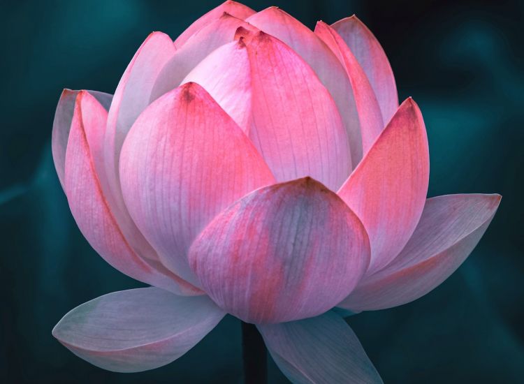 Fuechtigkeits-spendende Behandlung