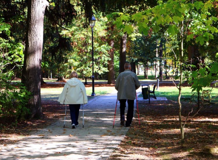 Скандинавская ходьба