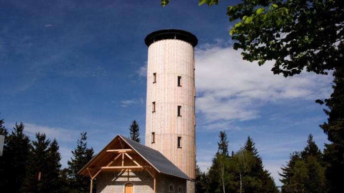 Wieża Widokowa na Górze Borówkowej