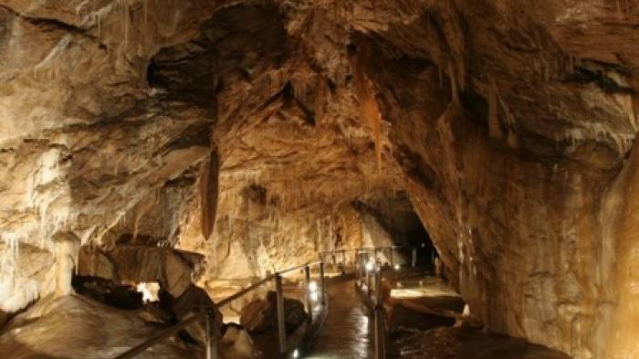 Jaskinia Niedźwiedzia