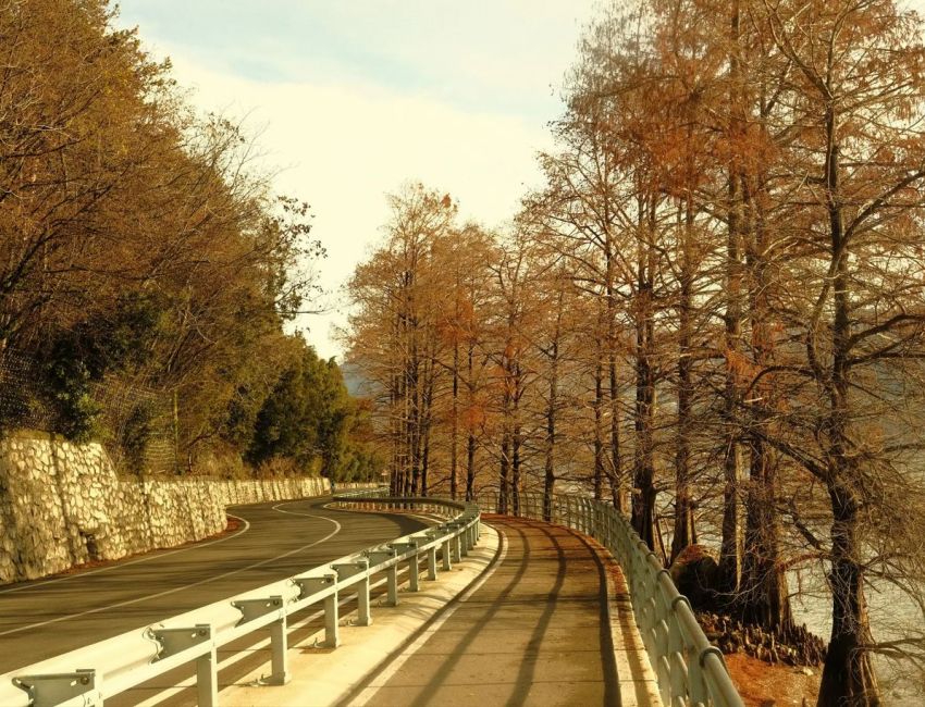 Tavernola Bergamasca - Lungolago e Montisola loop from Predore