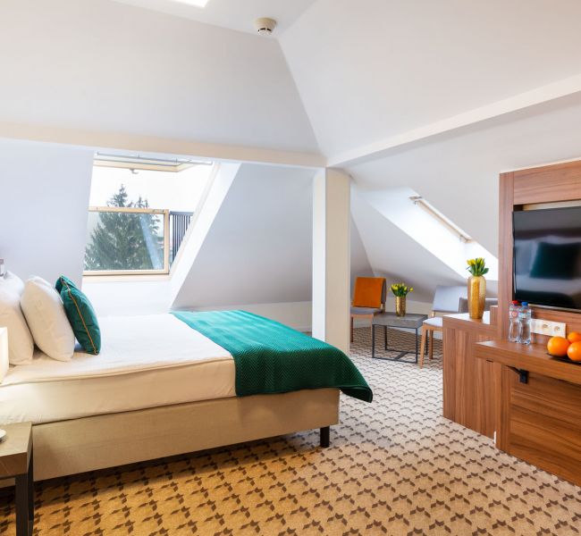 Pokój Rodzinny studio