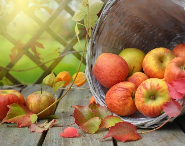 Spędź wyjątkowy pobyt wiosenny w naszej Willi!