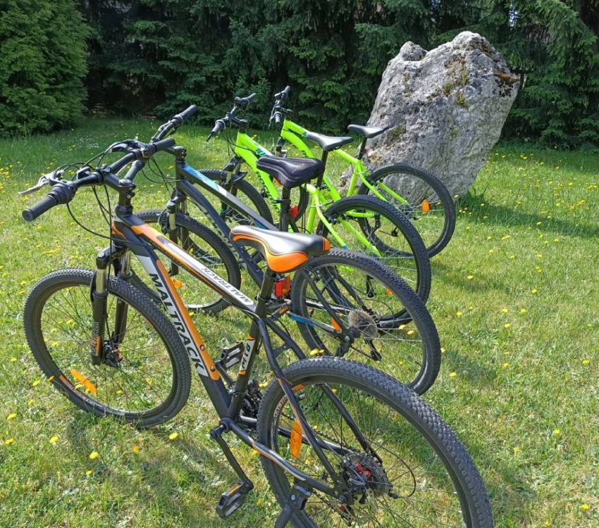 Wypożyczalnia rowerów