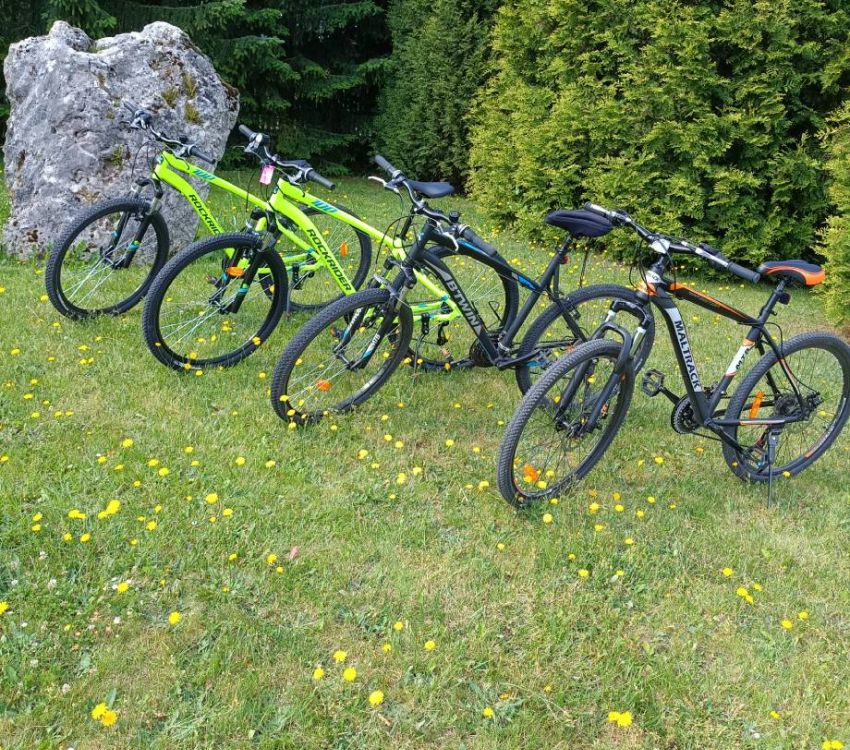 Wypożyczalnia rowerów