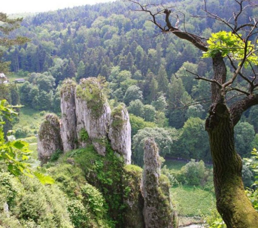 Ojcowski Park Narodowy